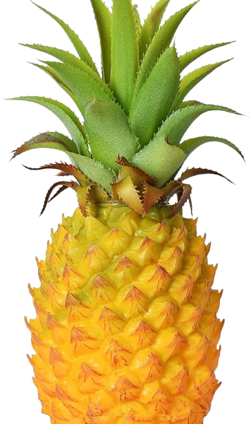 Pineapples – per piece