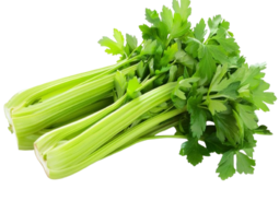 Celery- per Bunch