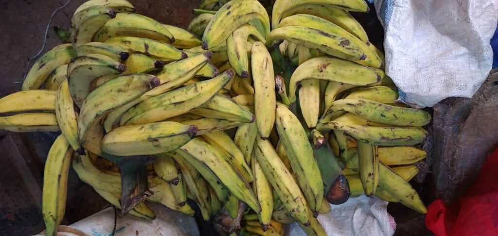 Plantain